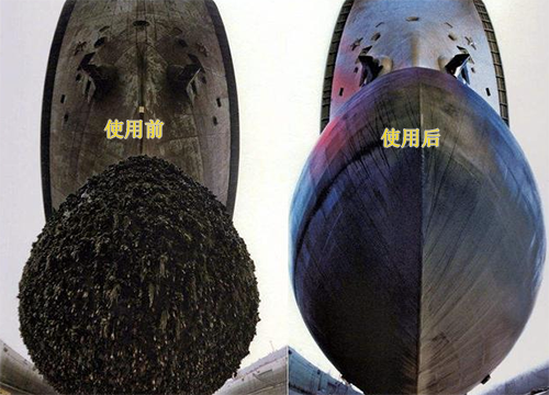 輪船船底黏附生物
